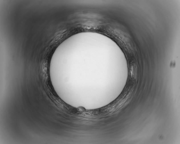 X0000103501396200810031618