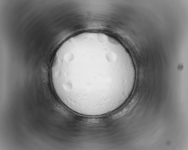 X0000103501401200810031618