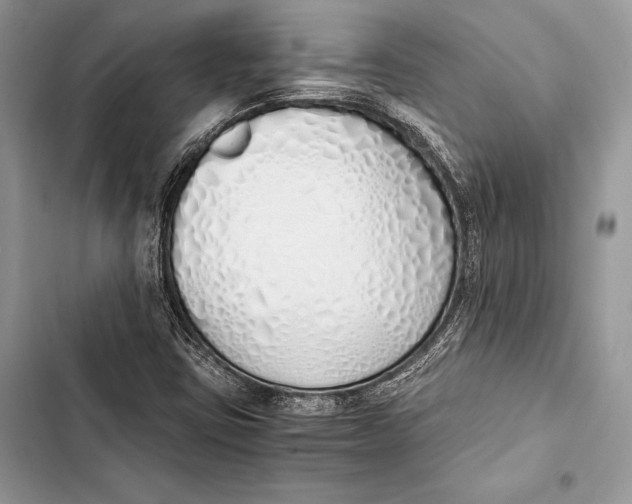 X0000103501403200810031618