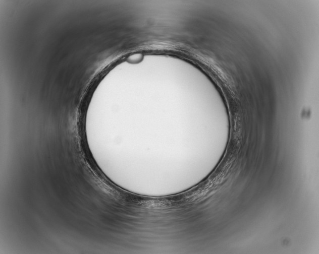 X0000103501404200810031618