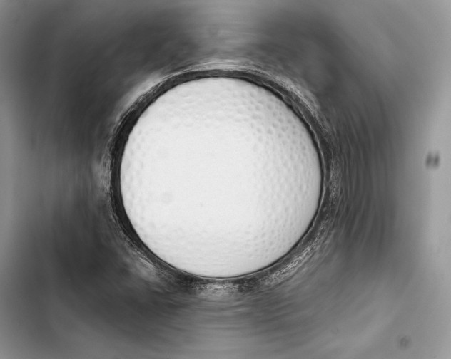 X0000103501406200810031618