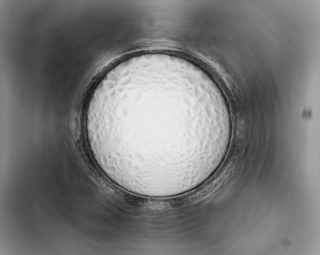 X0000103501407200810031618