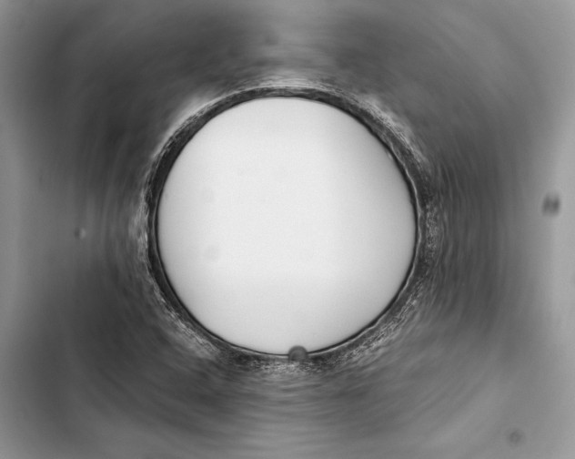 X0000103501408200810031618