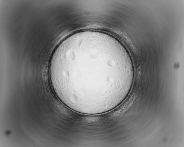 X0000103501409200810031618