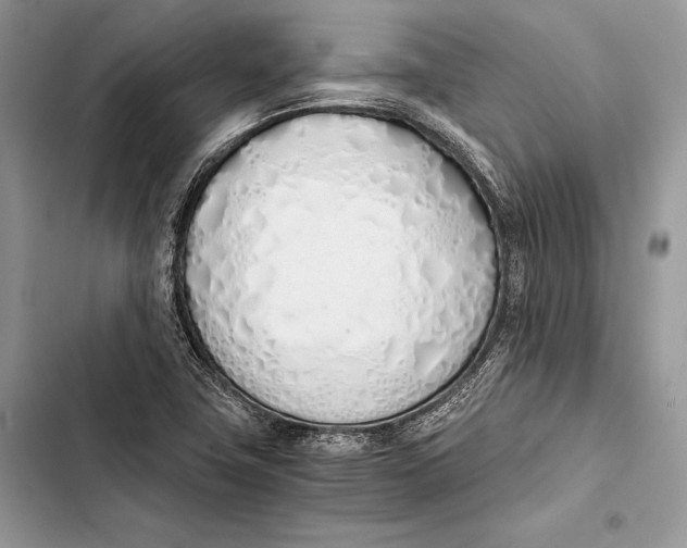 X0000103501411200810031618