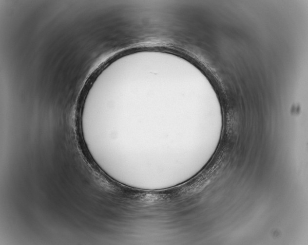 X0000103501412200810031618