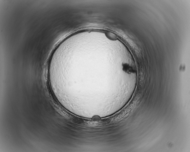 X0000103501413200810031618