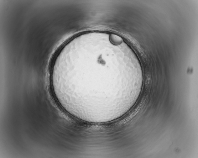 X0000103501414200810031618