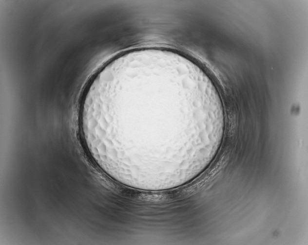 X0000103501415200810031618