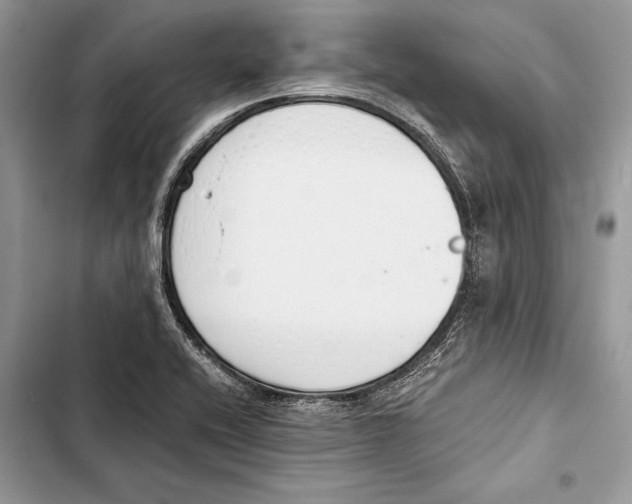 X0000103501416200810031618