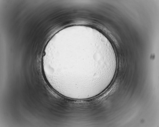 X0000103501417200810031618