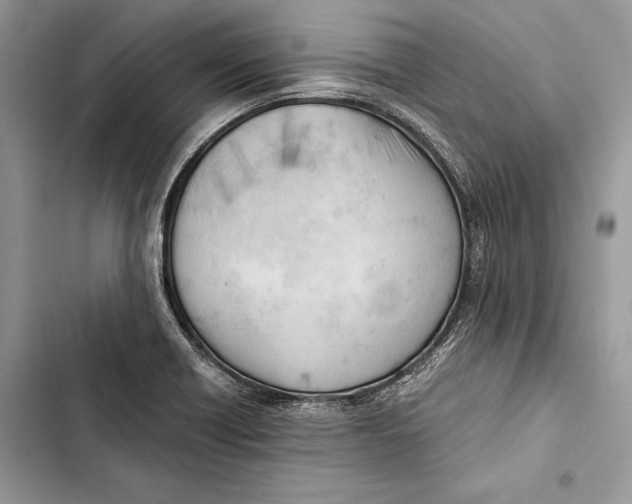 X0000103501418200810031618