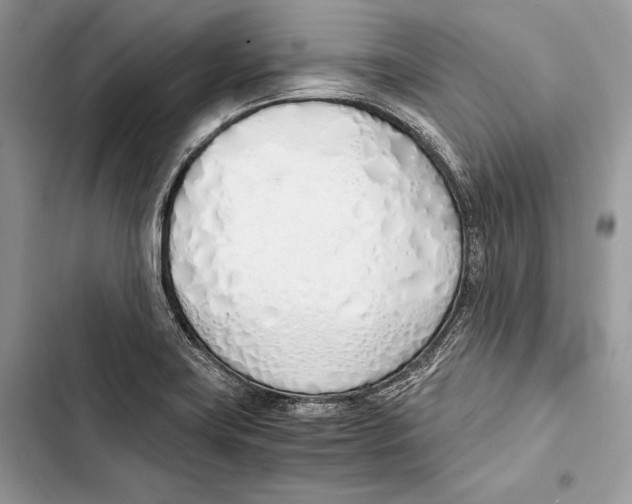 X0000103501419200810031618