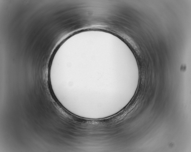 X0000103501420200810031618