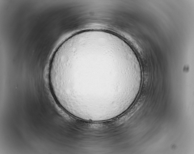 X0000103501421200810031618