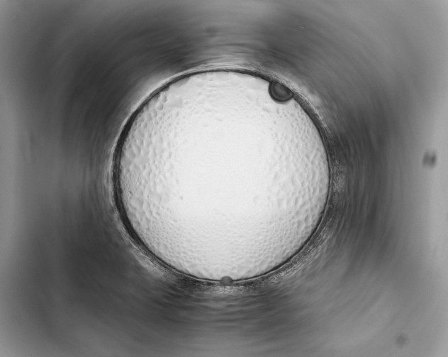 X0000103501423200810031618