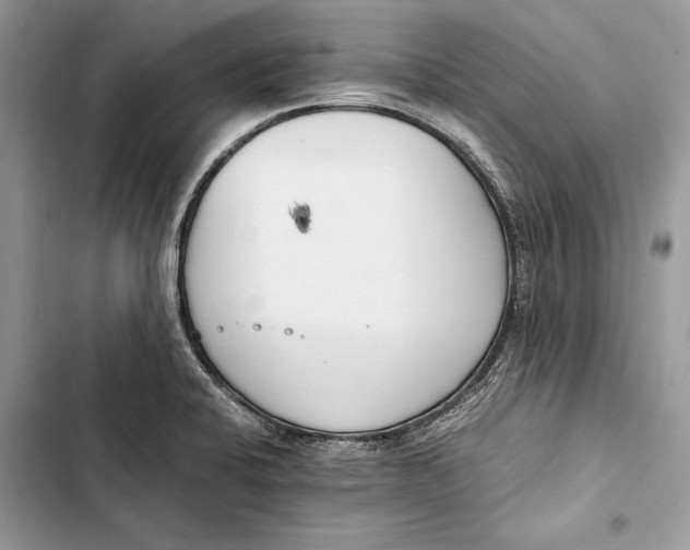 X0000103501424200810031618