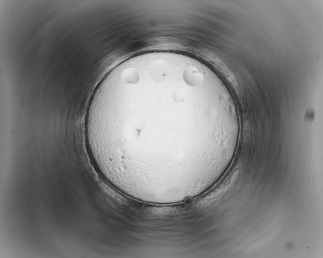 X0000103501425200810031618