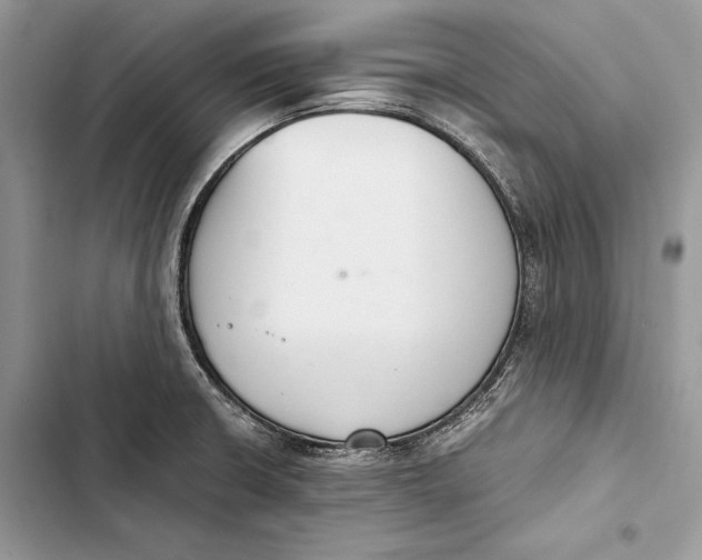 X0000103501426200810031618