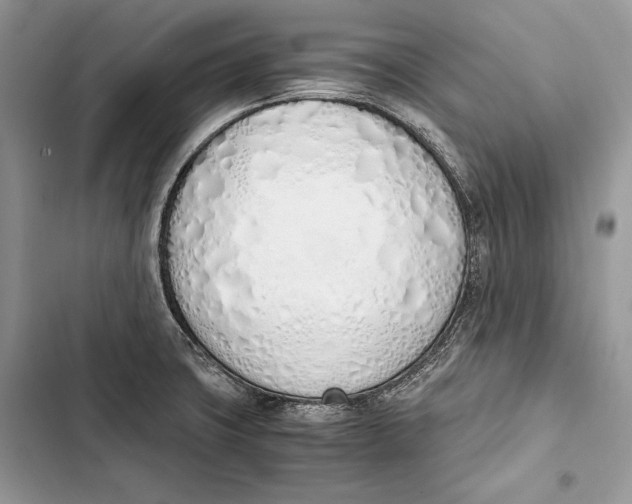 X0000103501427200810031618