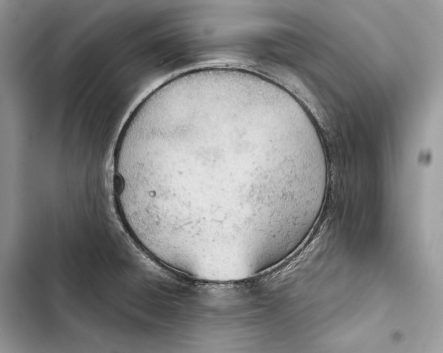 X0000103501428200810031618