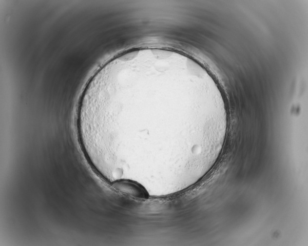 X0000103501429200810031618