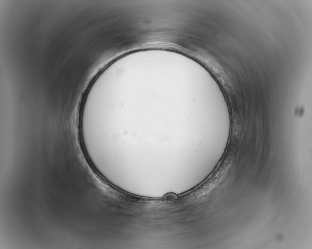 X0000103501430200810031618