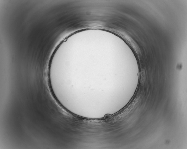 X0000103501432200810031618