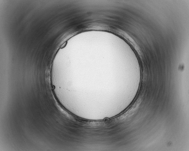 X0000103501433200810031618