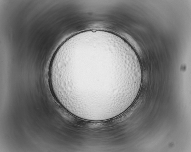 X0000103501435200810031618