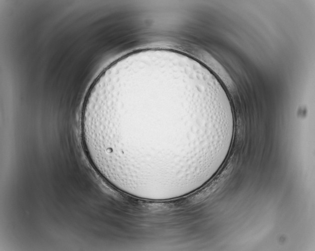 X0000103501436200810031618