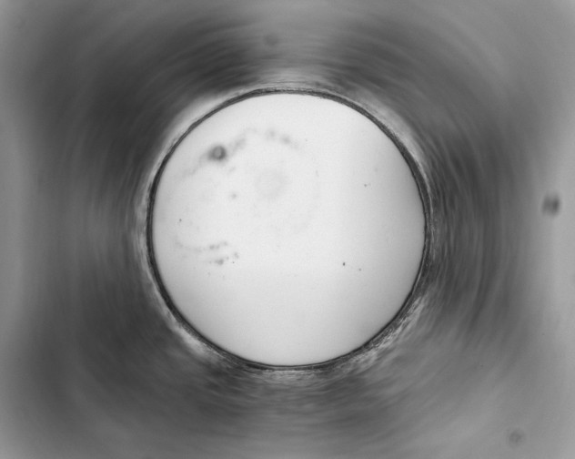 X0000103501437200810031618