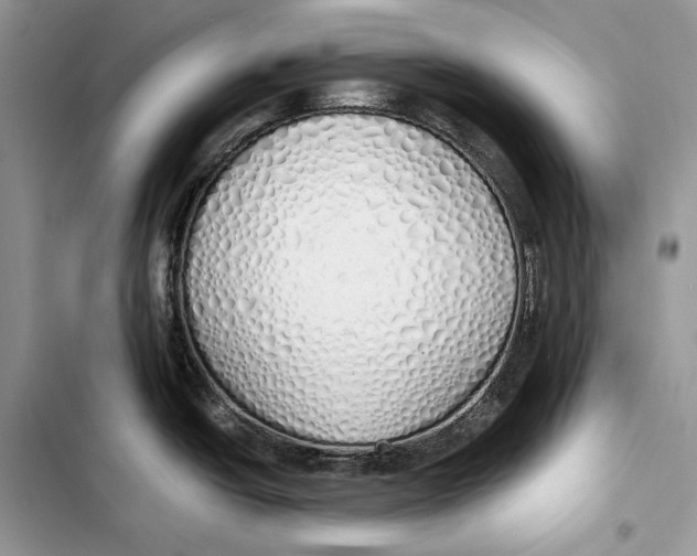 X0000103501438200810031618