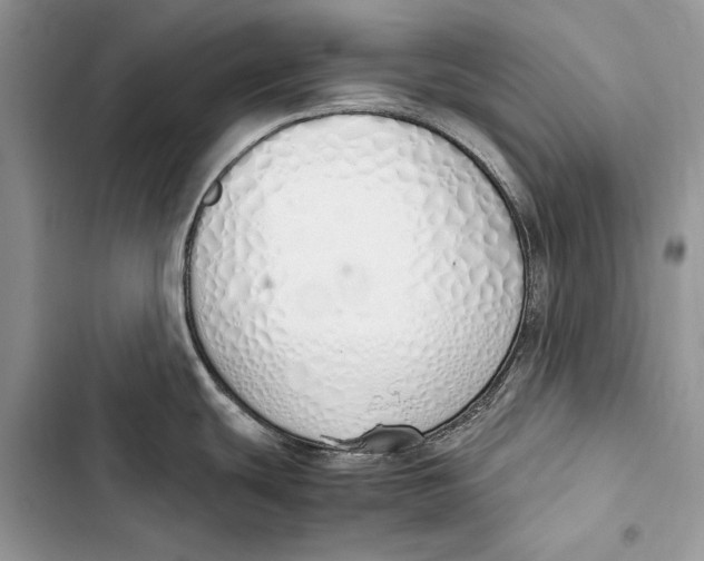 X0000103501439200810031618