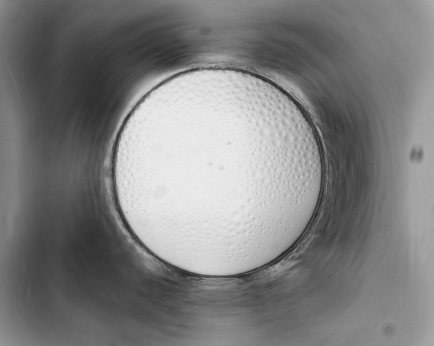 X0000103501440200810031618