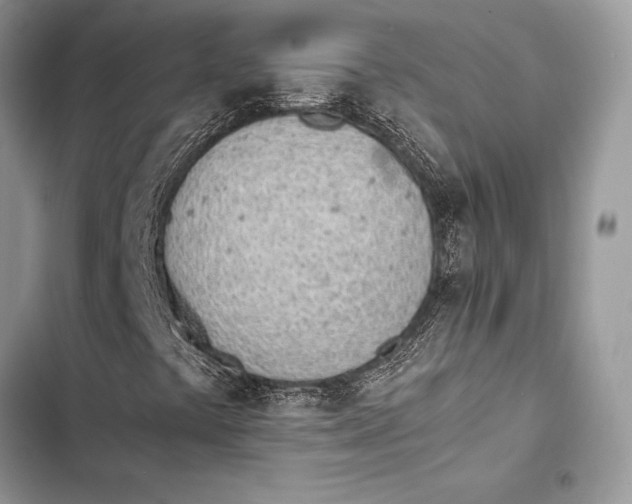 X0000103501441200810031617