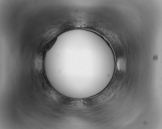 X0000103501444200810031617