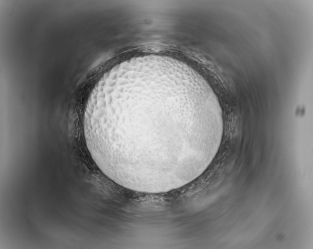 X0000103501446200810031617