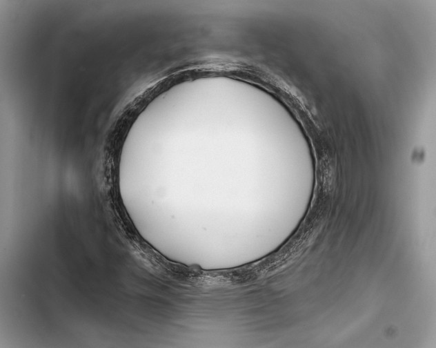 X0000103501448200810031617