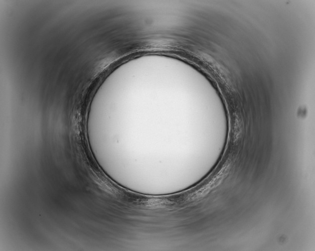 X0000103501449200810031617