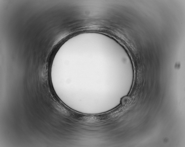 X0000103501450200810031617