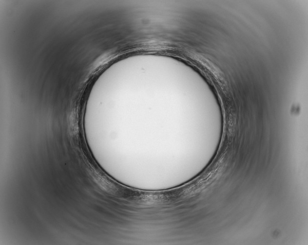 X0000103501451200810031617