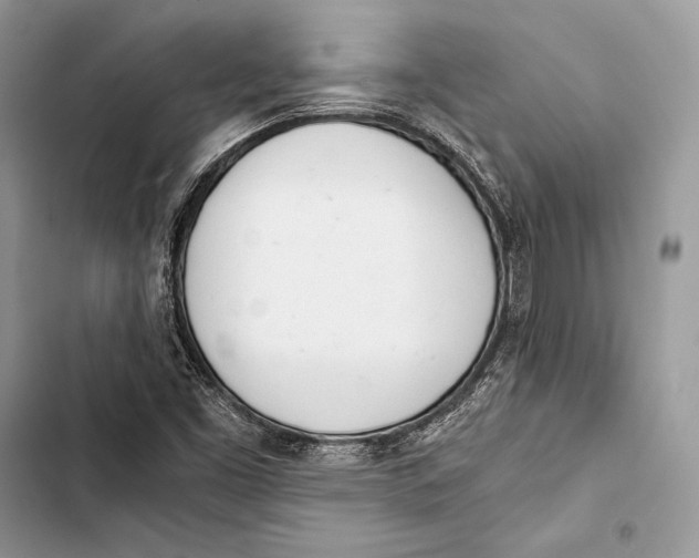 X0000103501453200810031617