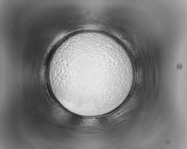 X0000103501454200810031617