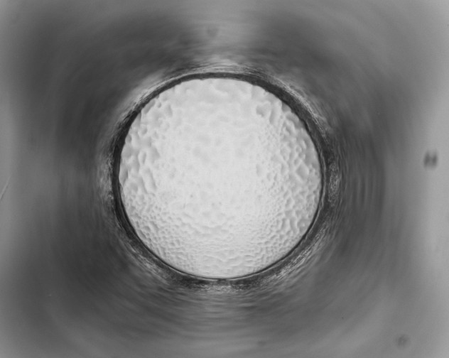 X0000103501455200810031617