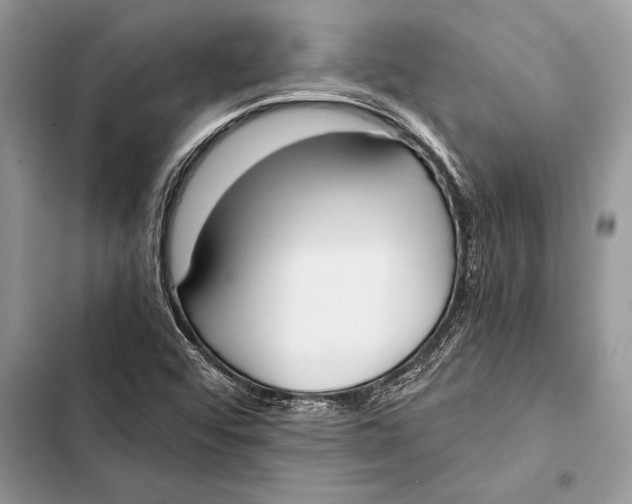 X0000103501456200810031617