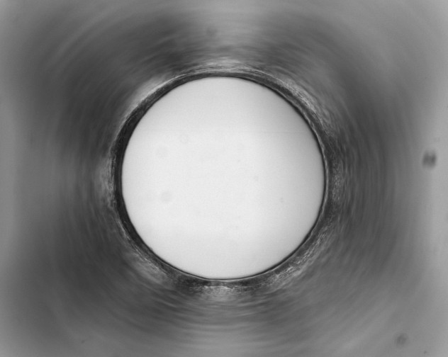 X0000103501458200810031617