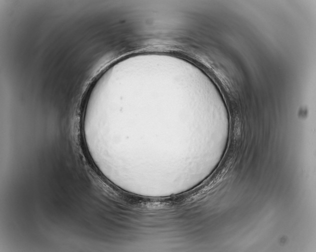 X0000103501459200810031617