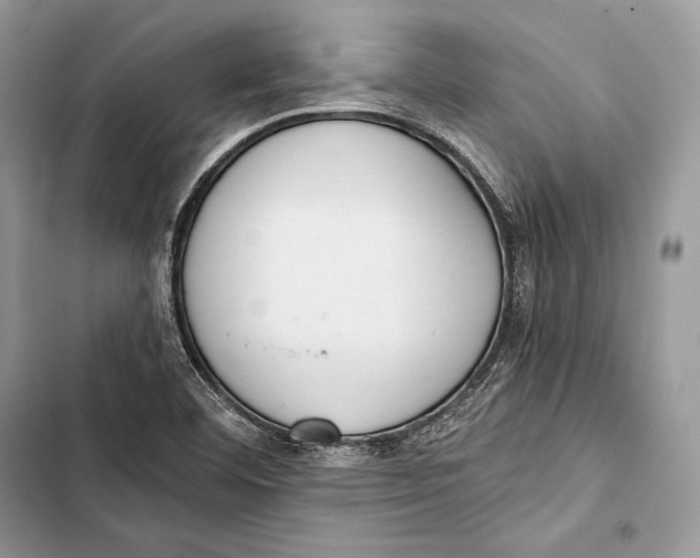 X0000103501460200810031617