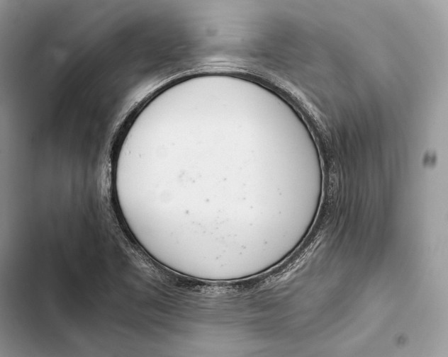 X0000103501461200810031617